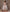 Authentic Eritrean Zuria Dress – Handmade Cultural Attire for Weddings & Holidays | Custom Fit Bezawit