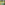 Ethiopian habesha  Dress with Green & Gold Embroidery – Traditional Habesha Kemis Bezawit