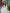 Habesha Kemis with Pink, Orange & Gold Embroidery - White Ethiopian Wedding Dress Bezawit